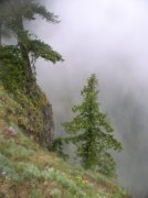 5.7.06 Wauna Point 026 